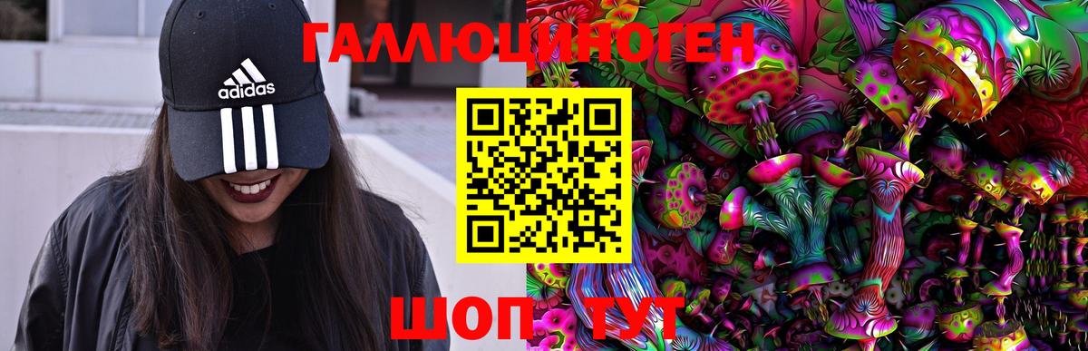 Дальнегорск  Марихуана  Конопля  Мефедрон  МЕФ   Вход с VPN  ГАШИШ 